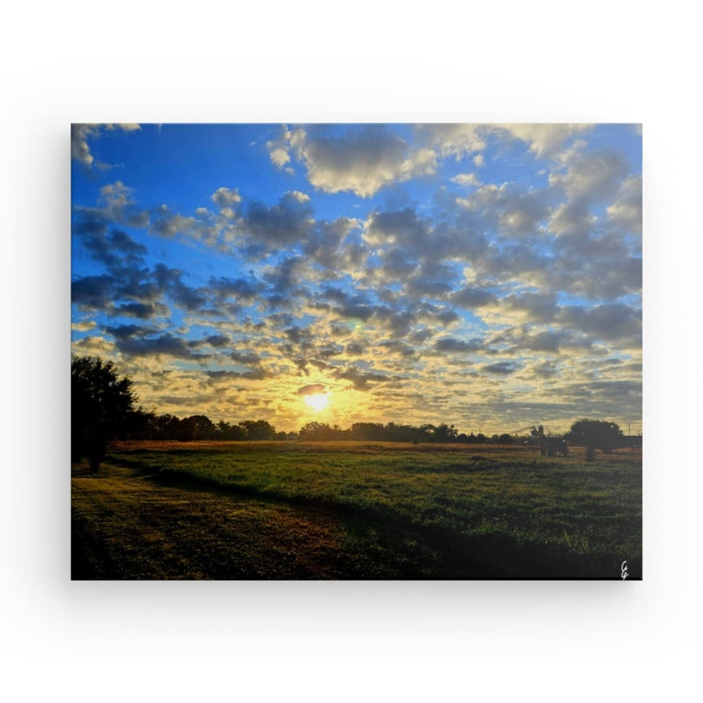 SR.23.029 Canvas