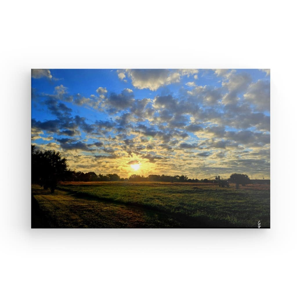 SR.23.029 Canvas