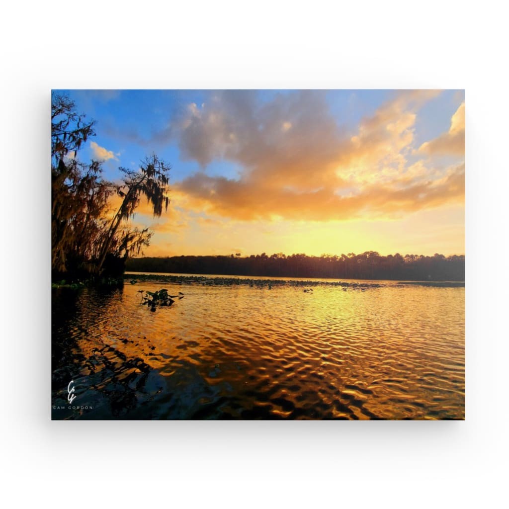 SS.20.007 Canvas