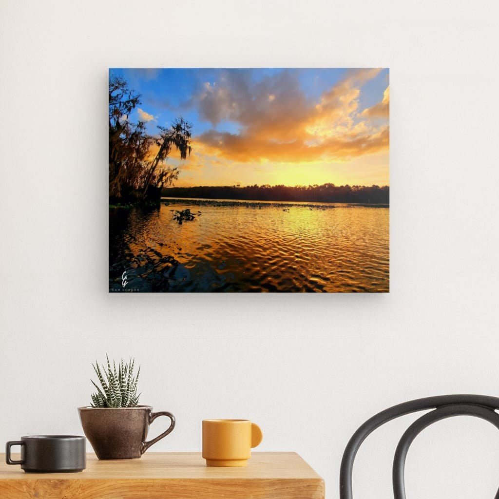 SS.20.007 Canvas
