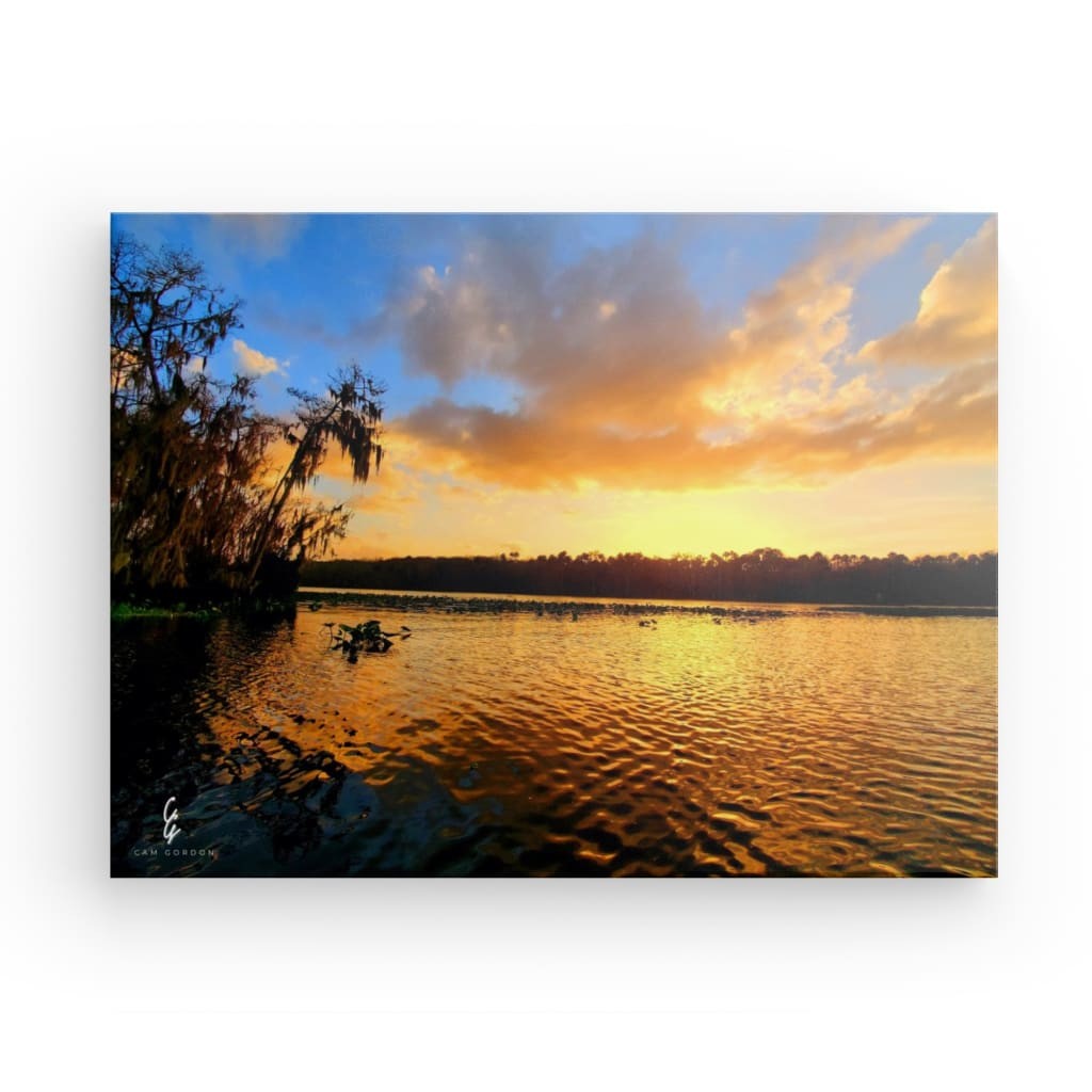 SS.20.007 Canvas