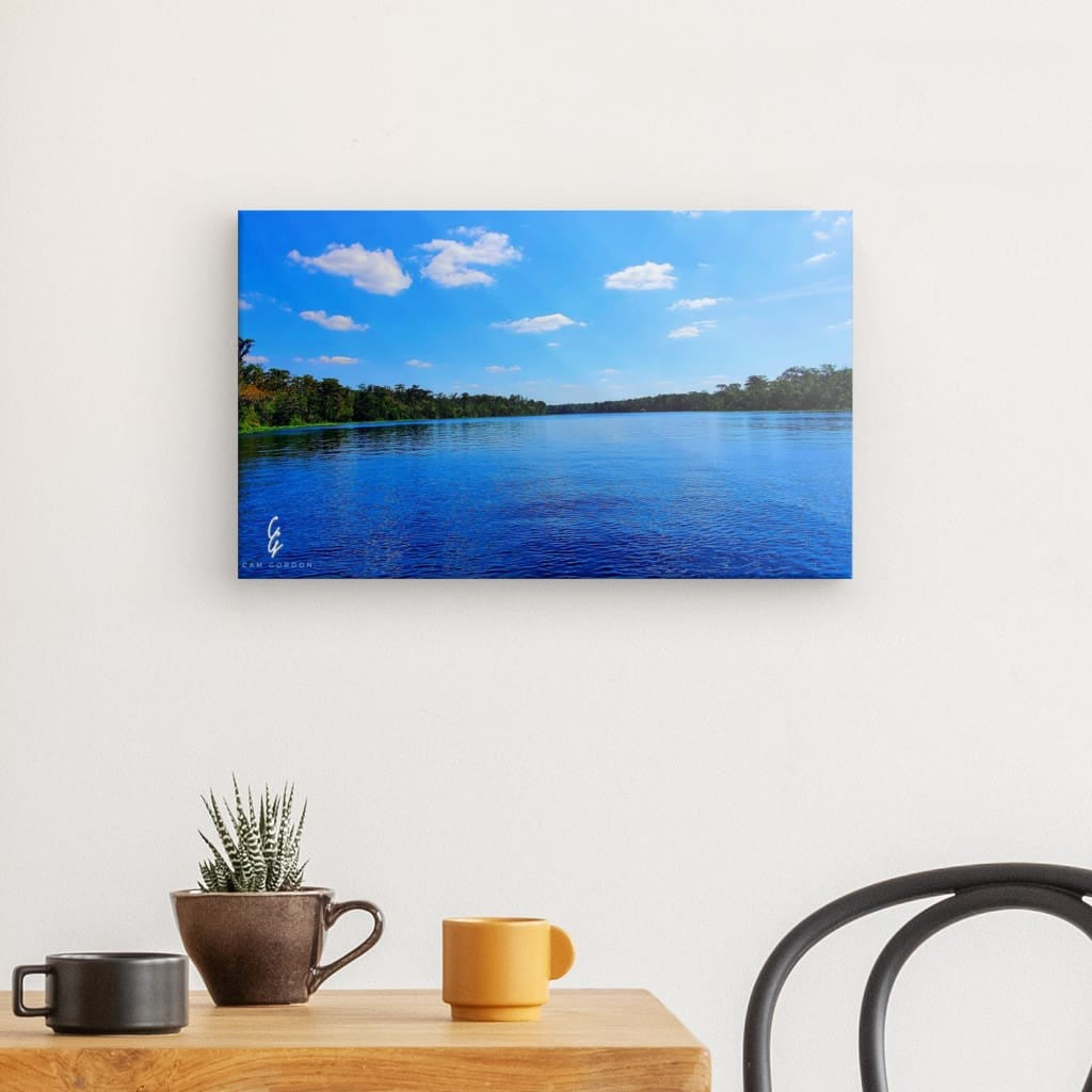 PW.23.018 Canvas