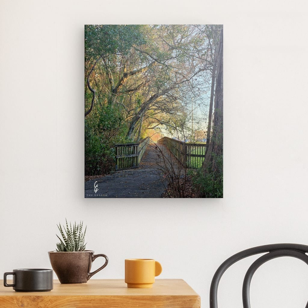RM.24.009 Canvas