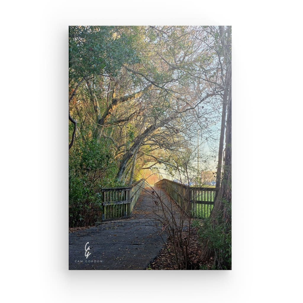 RM.24.009 Canvas