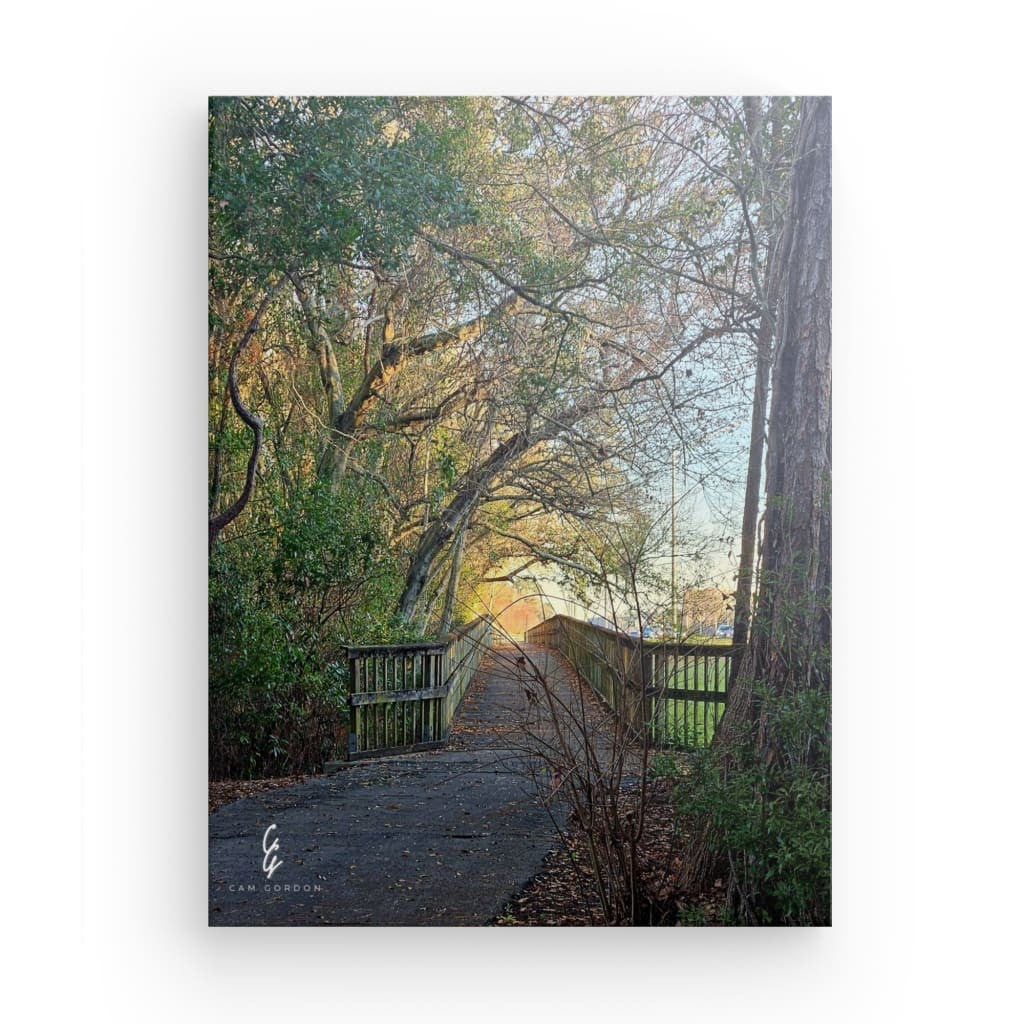 RM.24.009 Canvas