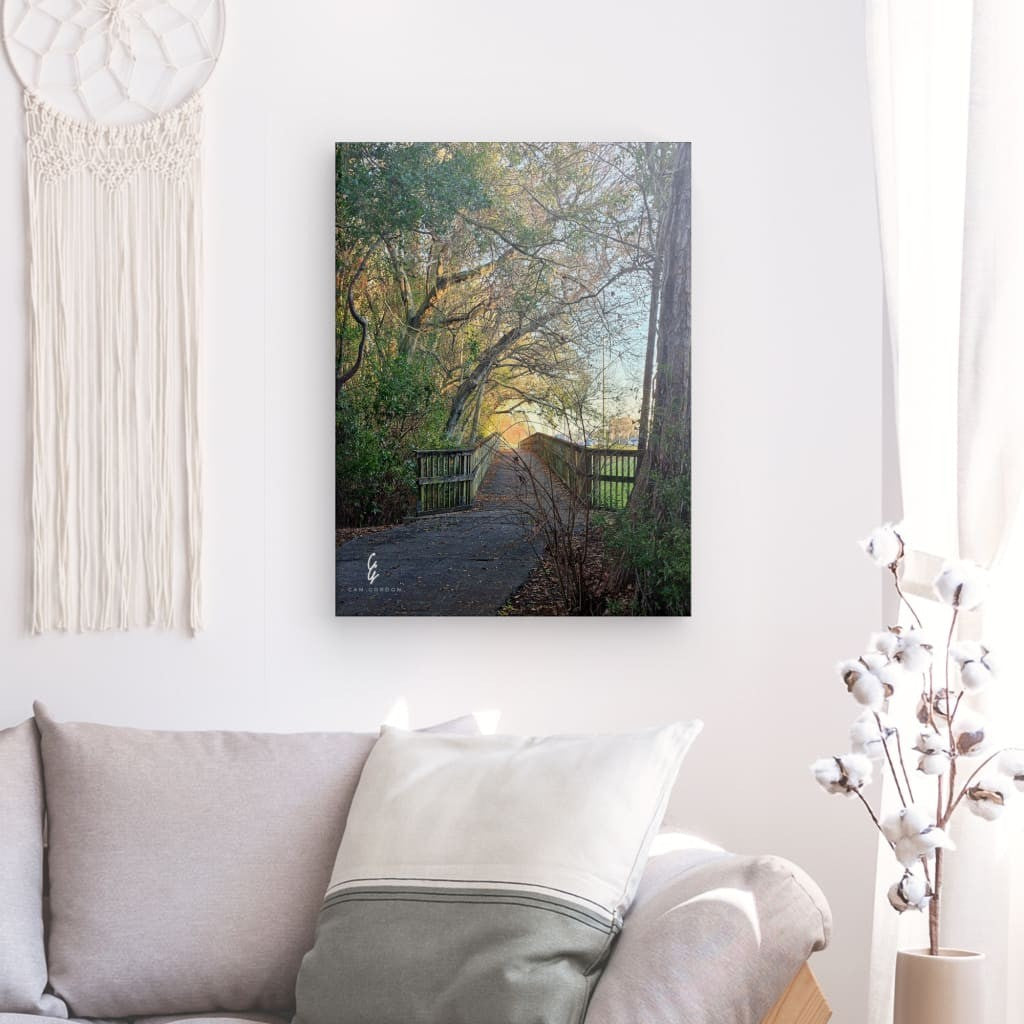 RM.24.009 Canvas
