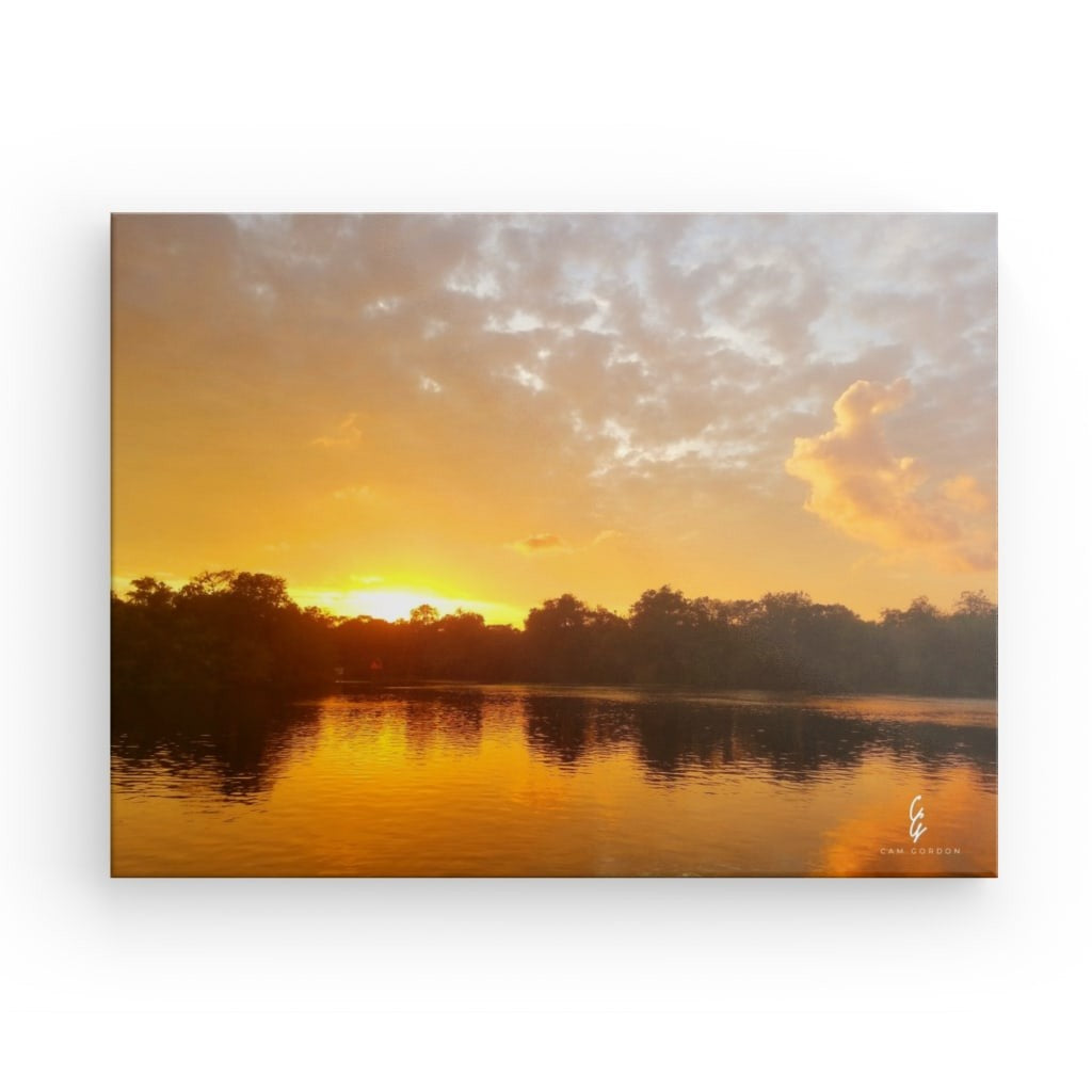 SS.19.005 Canvas