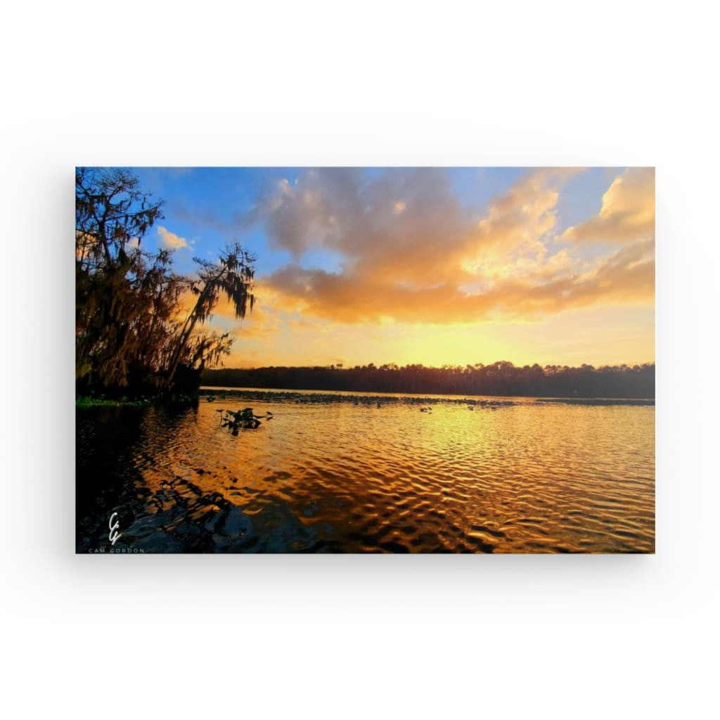 PW.20.005 Canvas