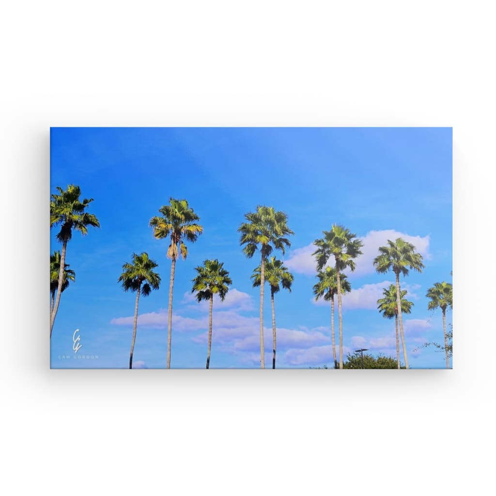 RM.24.010 Canvas