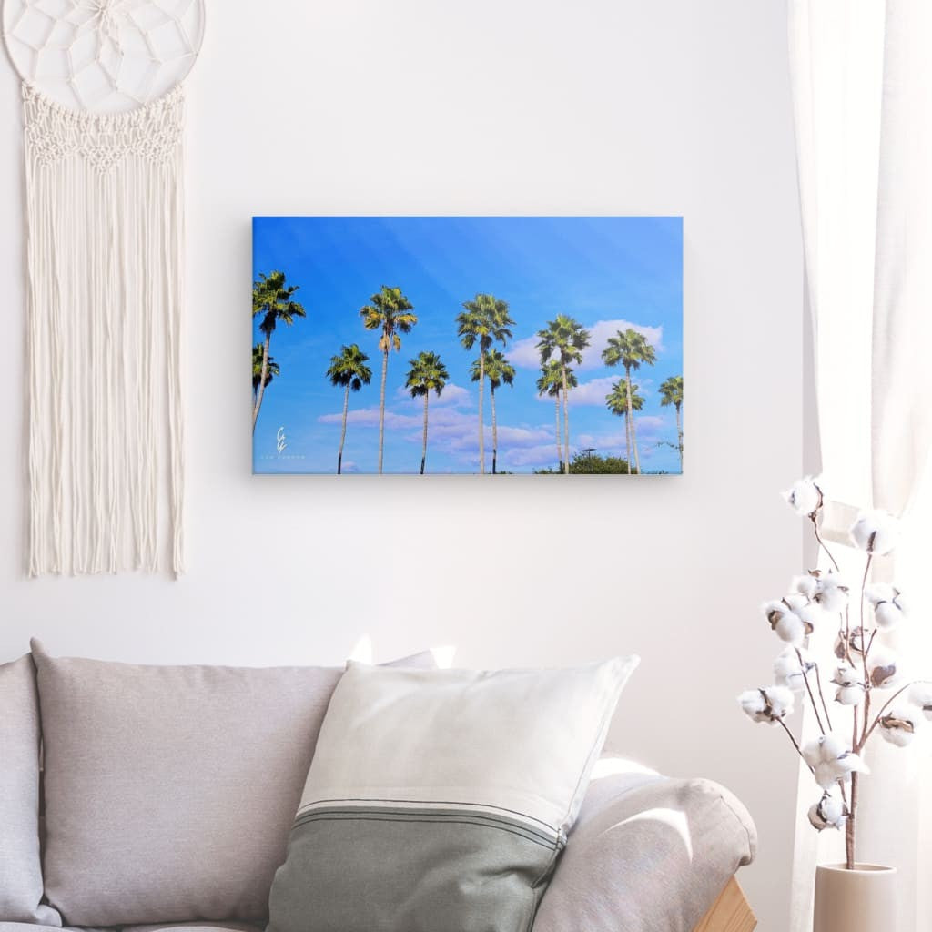RM.24.010 Canvas