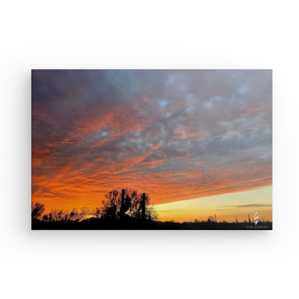 AD.24.004 Canvas