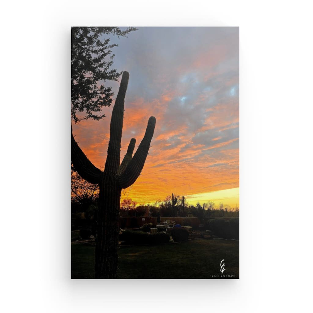 AD.24.005 Canvas