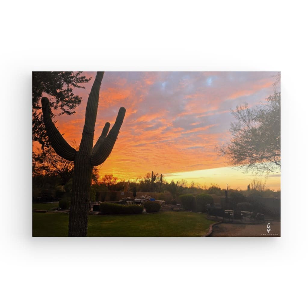 AD.24.006 Canvas