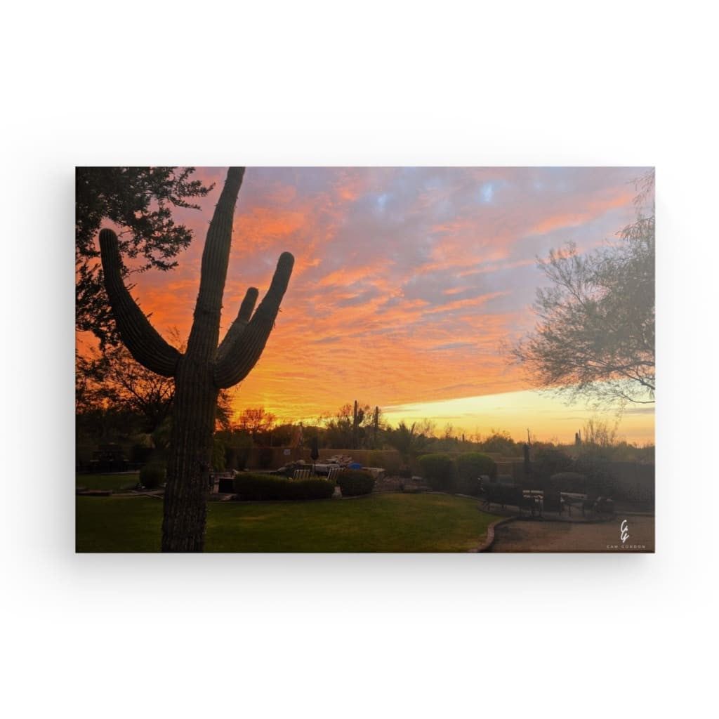 AD.24.006 Canvas