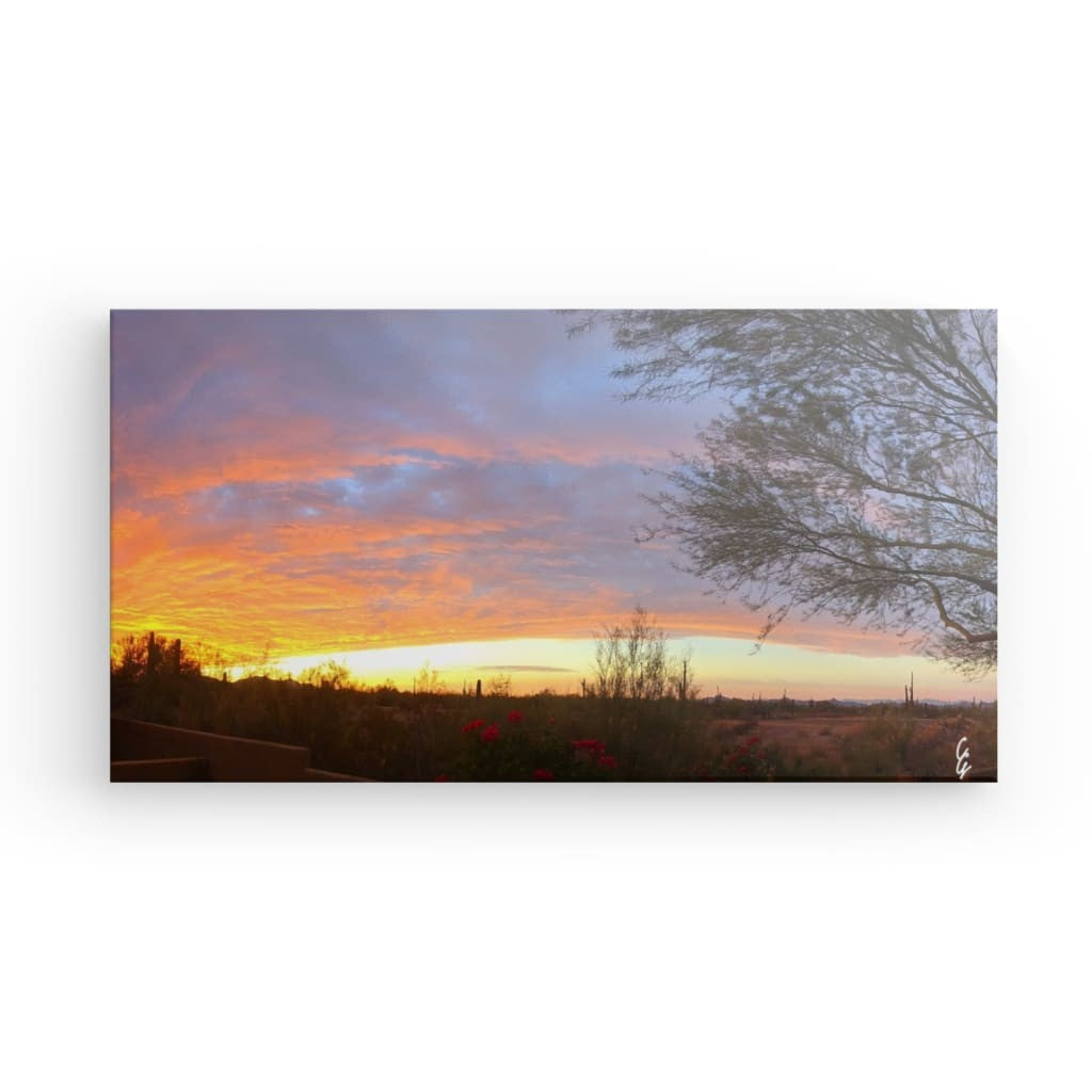 AD.24.007 Canvas