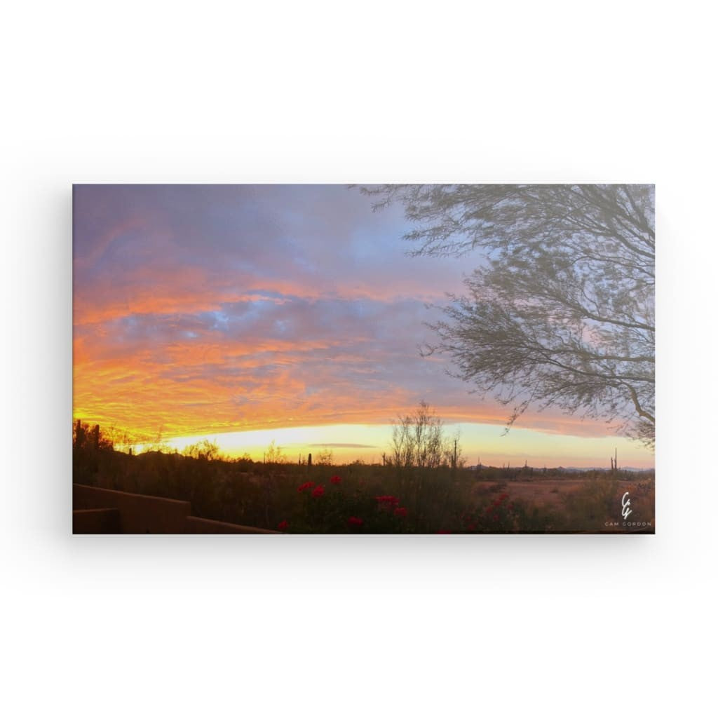 AD.24.007 Canvas