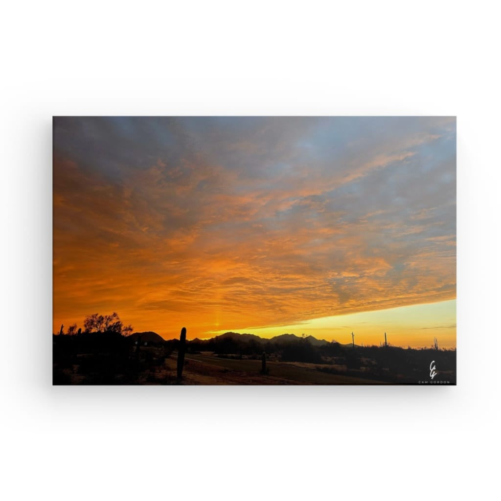 AD.24.008 Canvas