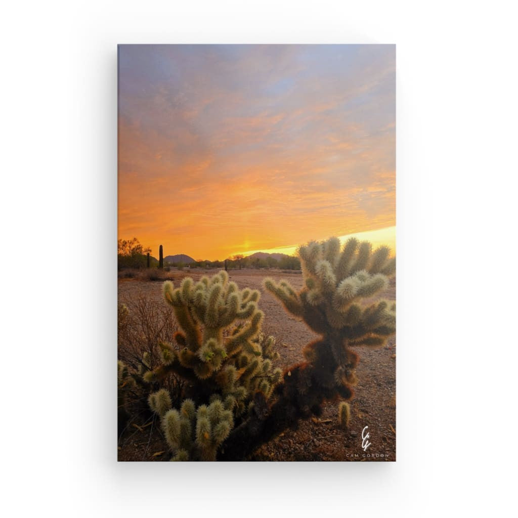 AD.24.009 Canvas