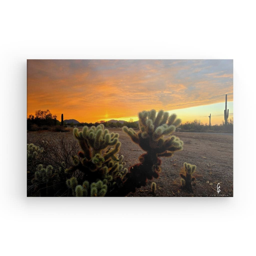 AD.24.010 Canvas