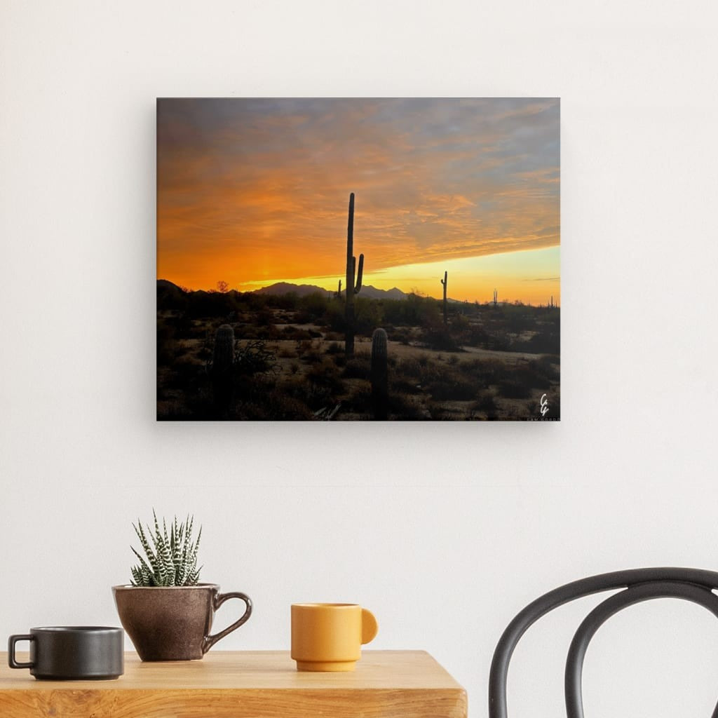 AD.24.011 Canvas