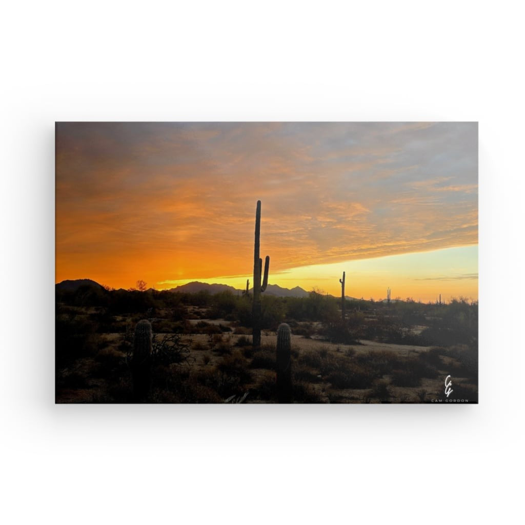AD.24.011 Canvas