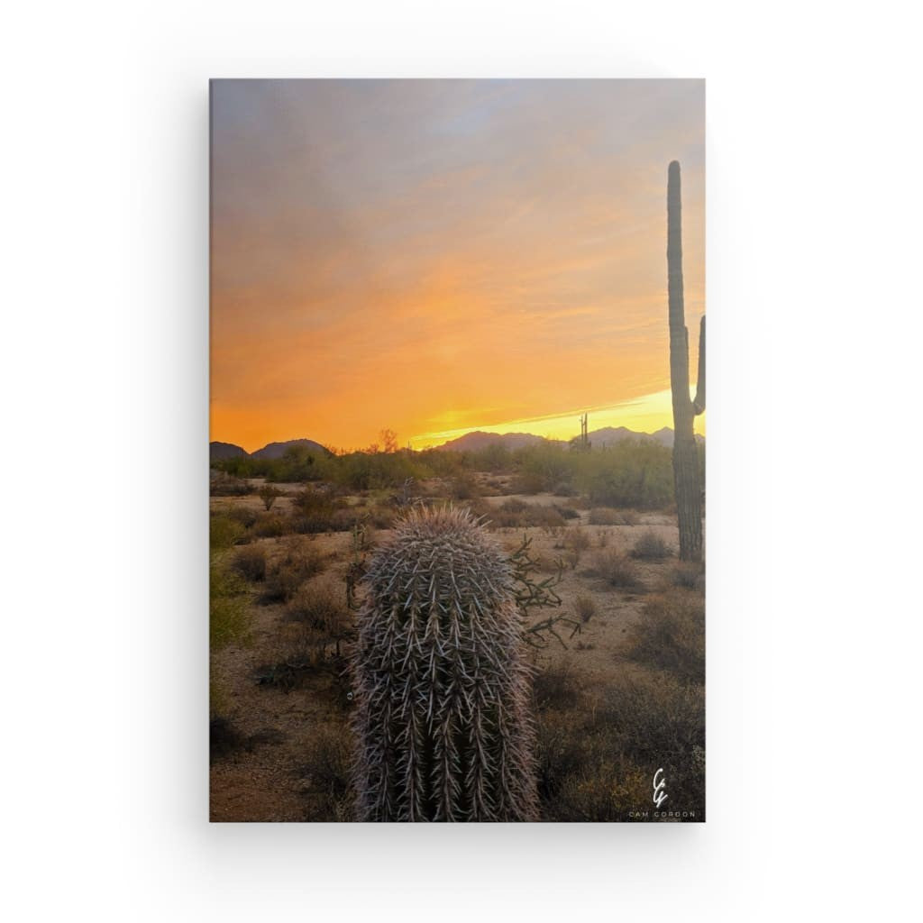 AD.24.012 Canvas