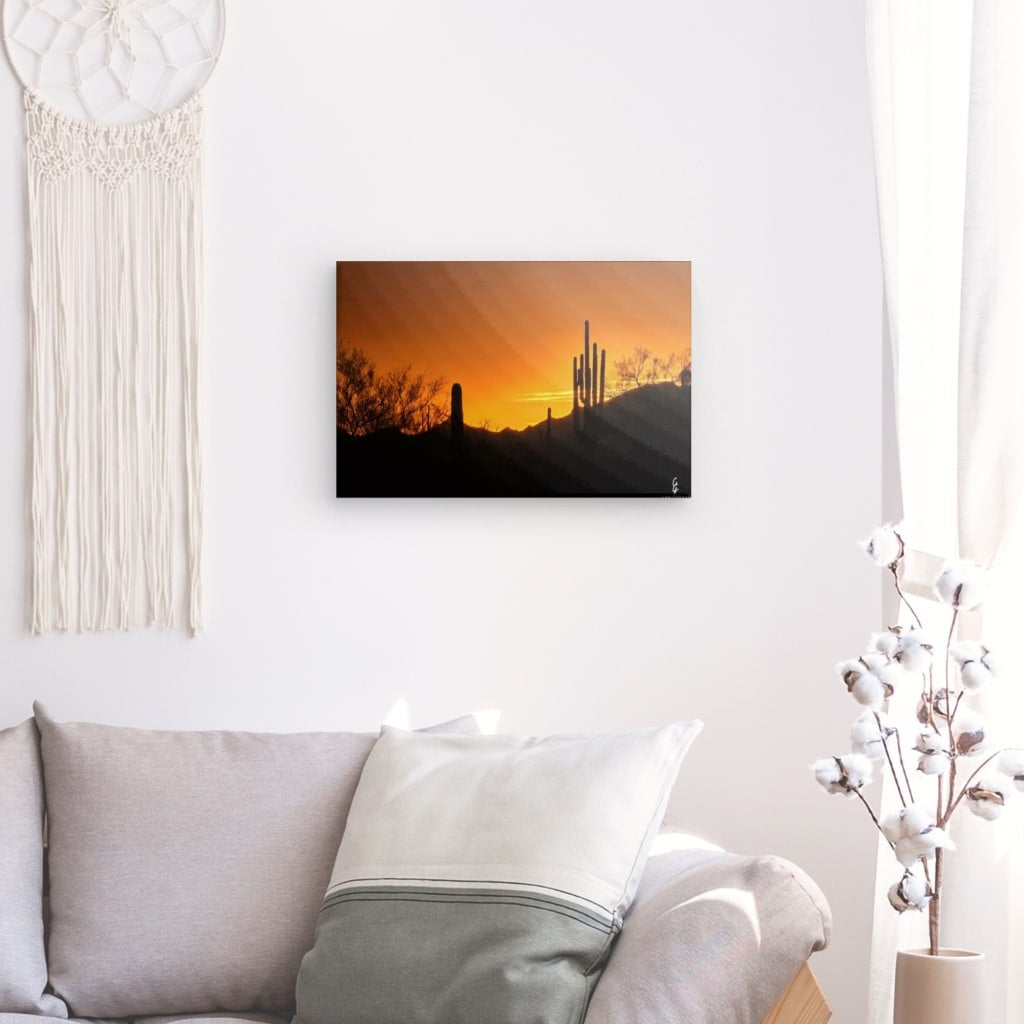 AD.24.026.5 Canvas
