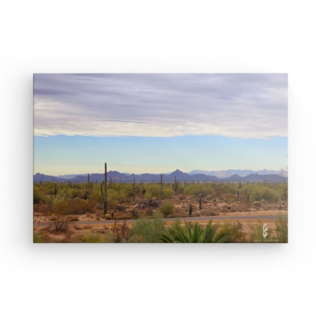 AD.24.038 Canvas