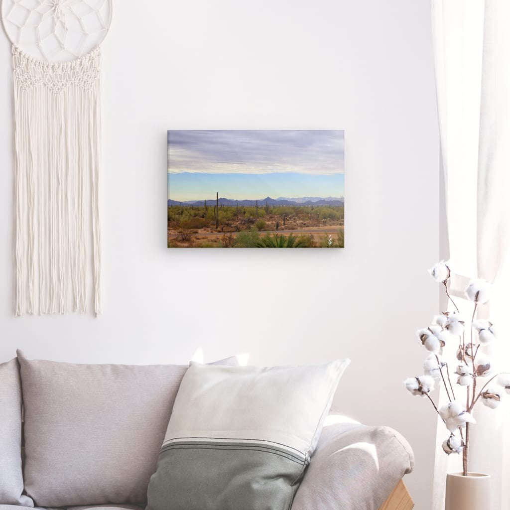 AD.24.038 Canvas