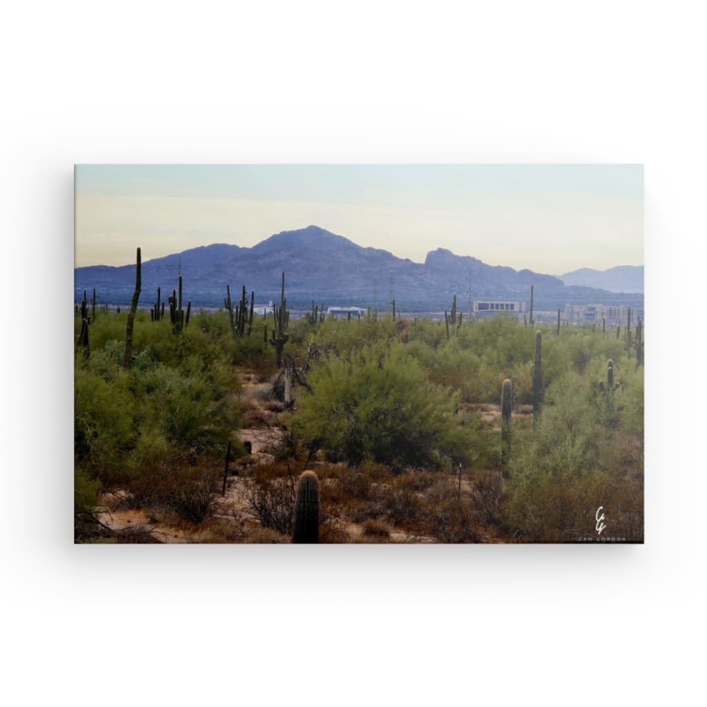 AD.24.039 Canvas