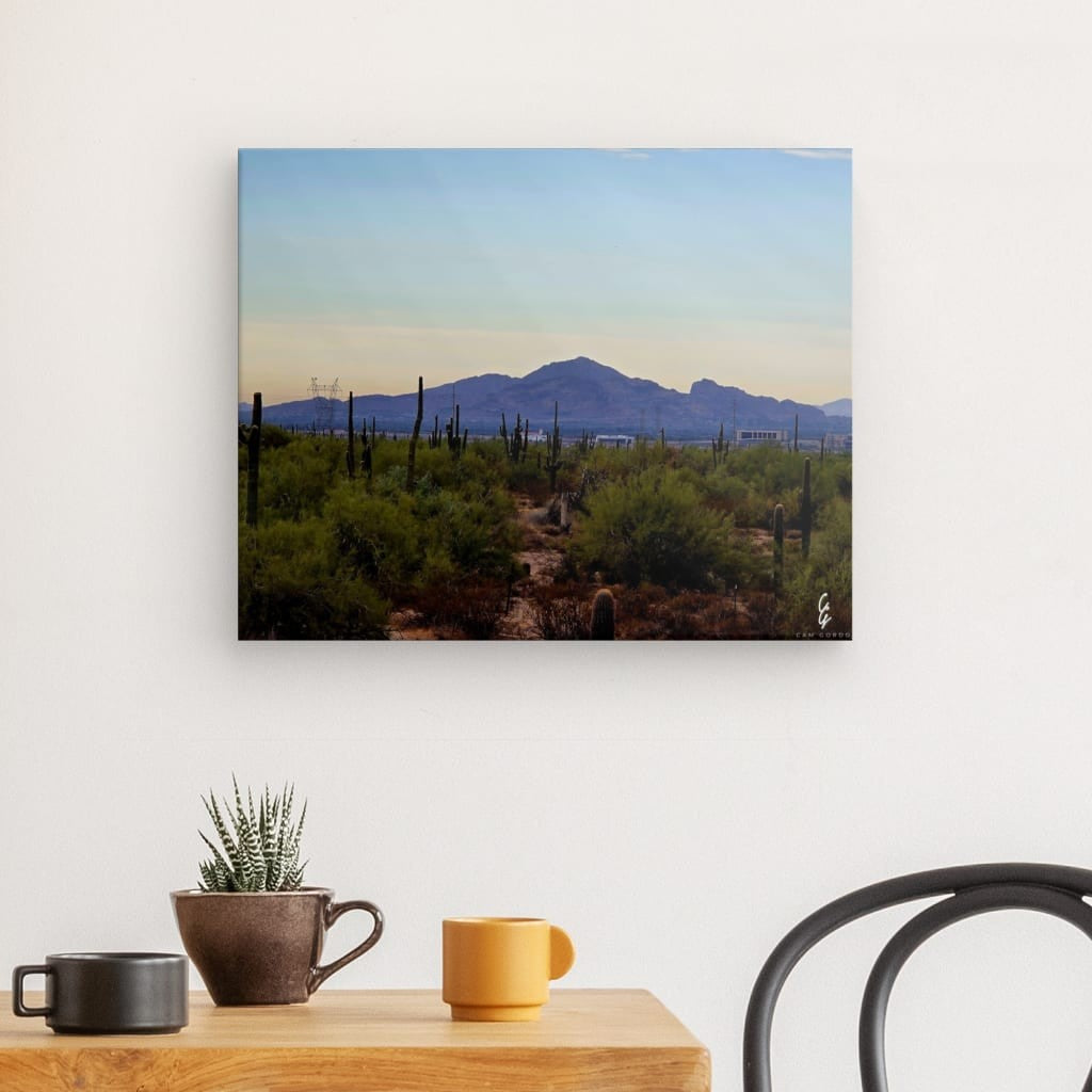 AD.24.040 Canvas