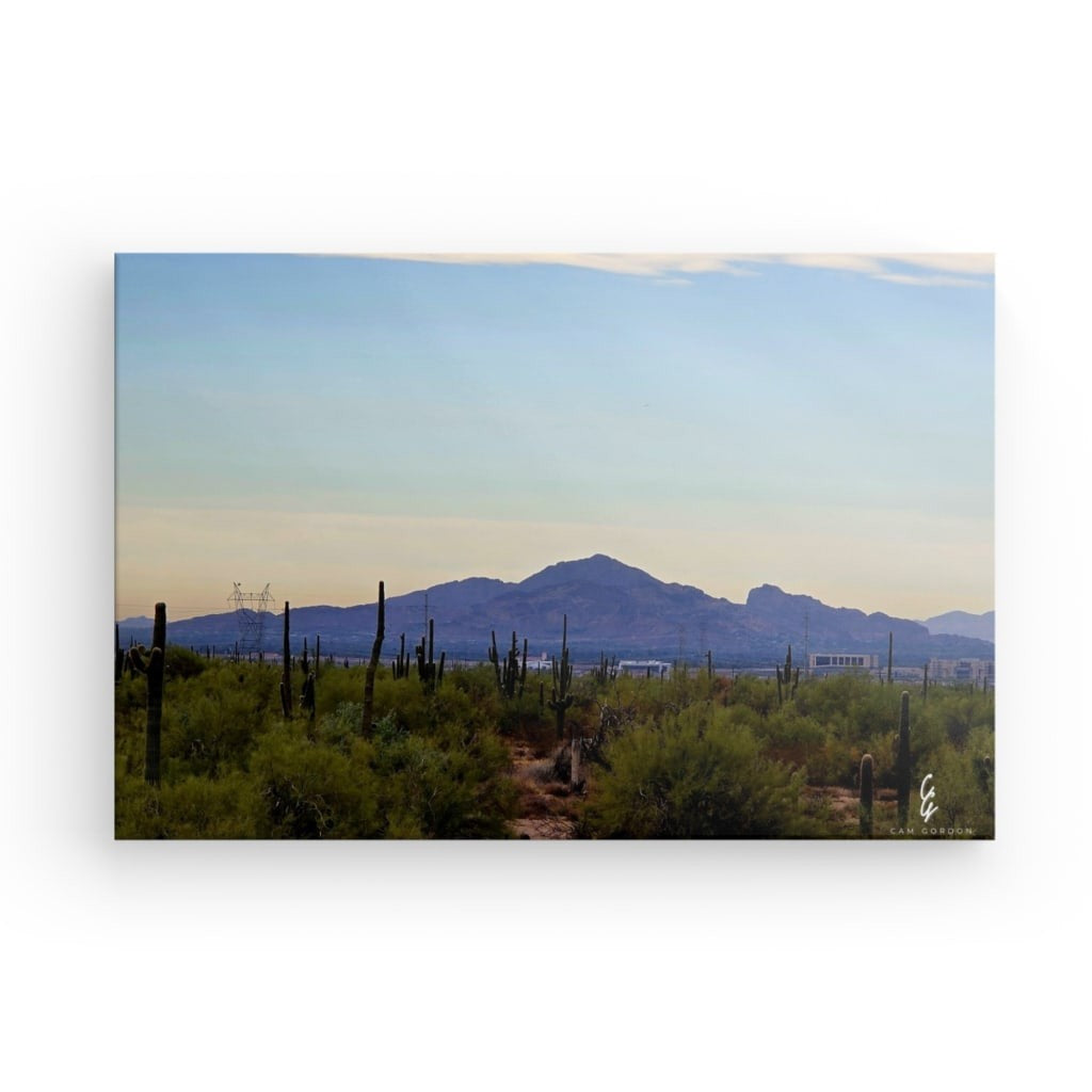 AD.24.040 Canvas