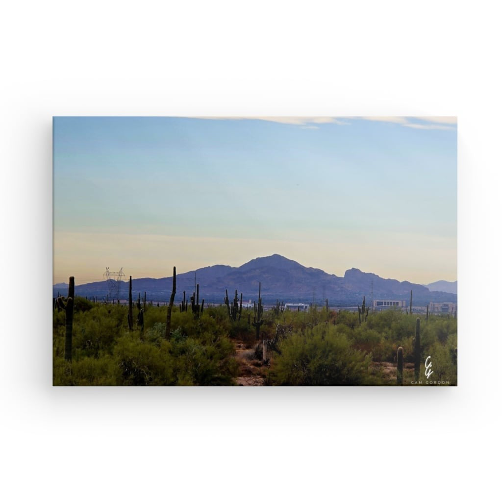 AD.24.040 Canvas