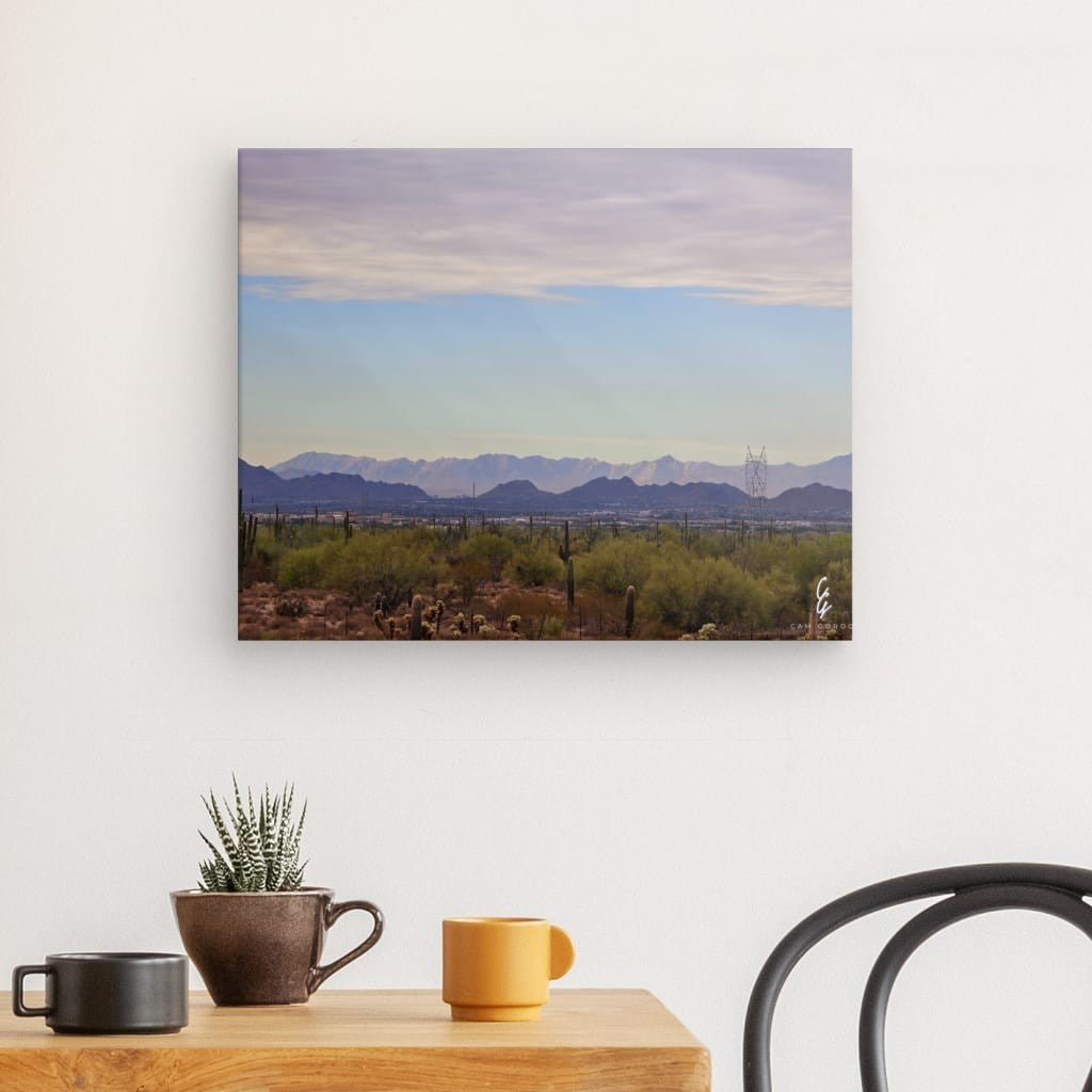 AD.24.041 Canvas