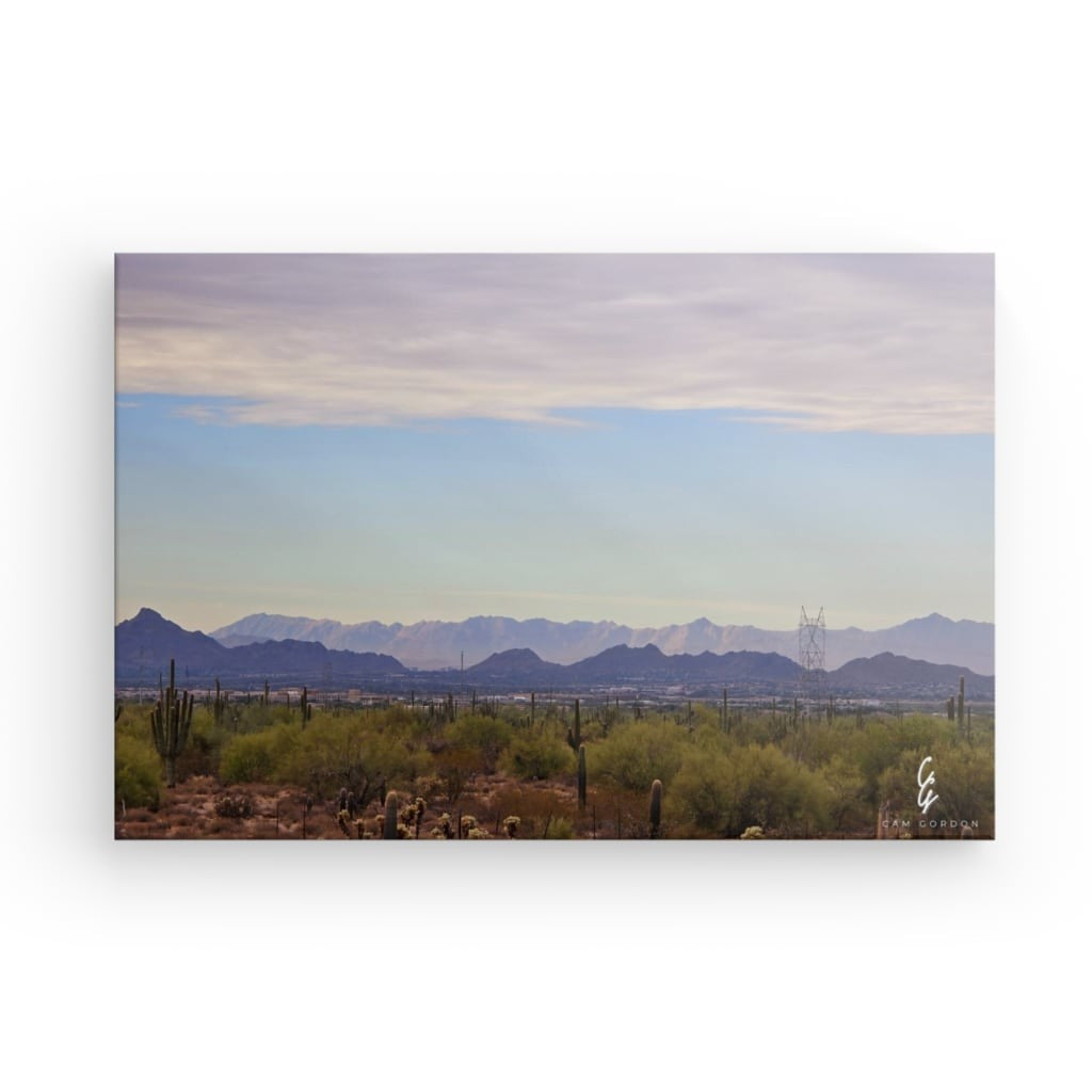 AD.24.041 Canvas