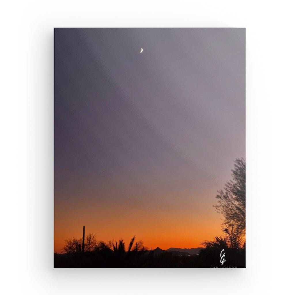 AD.24.042 Canvas