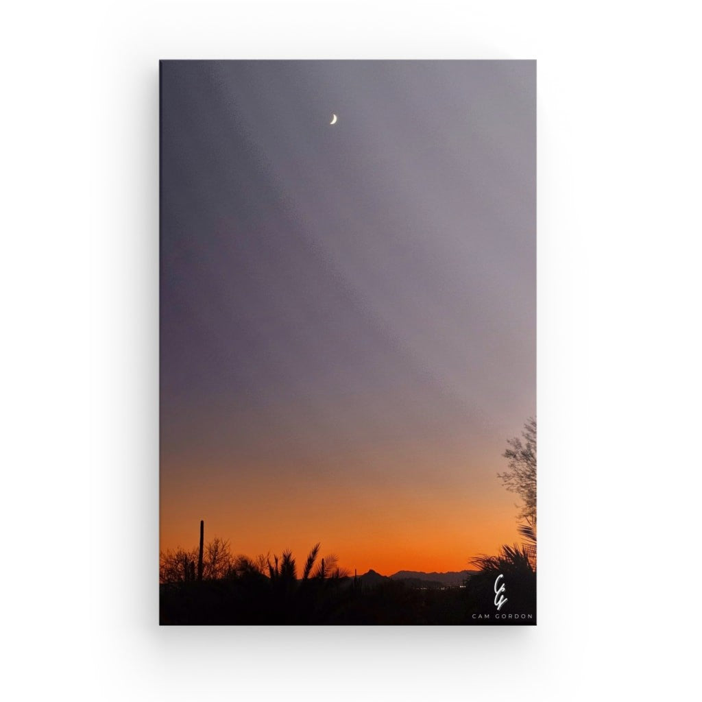 AD.24.042 Canvas