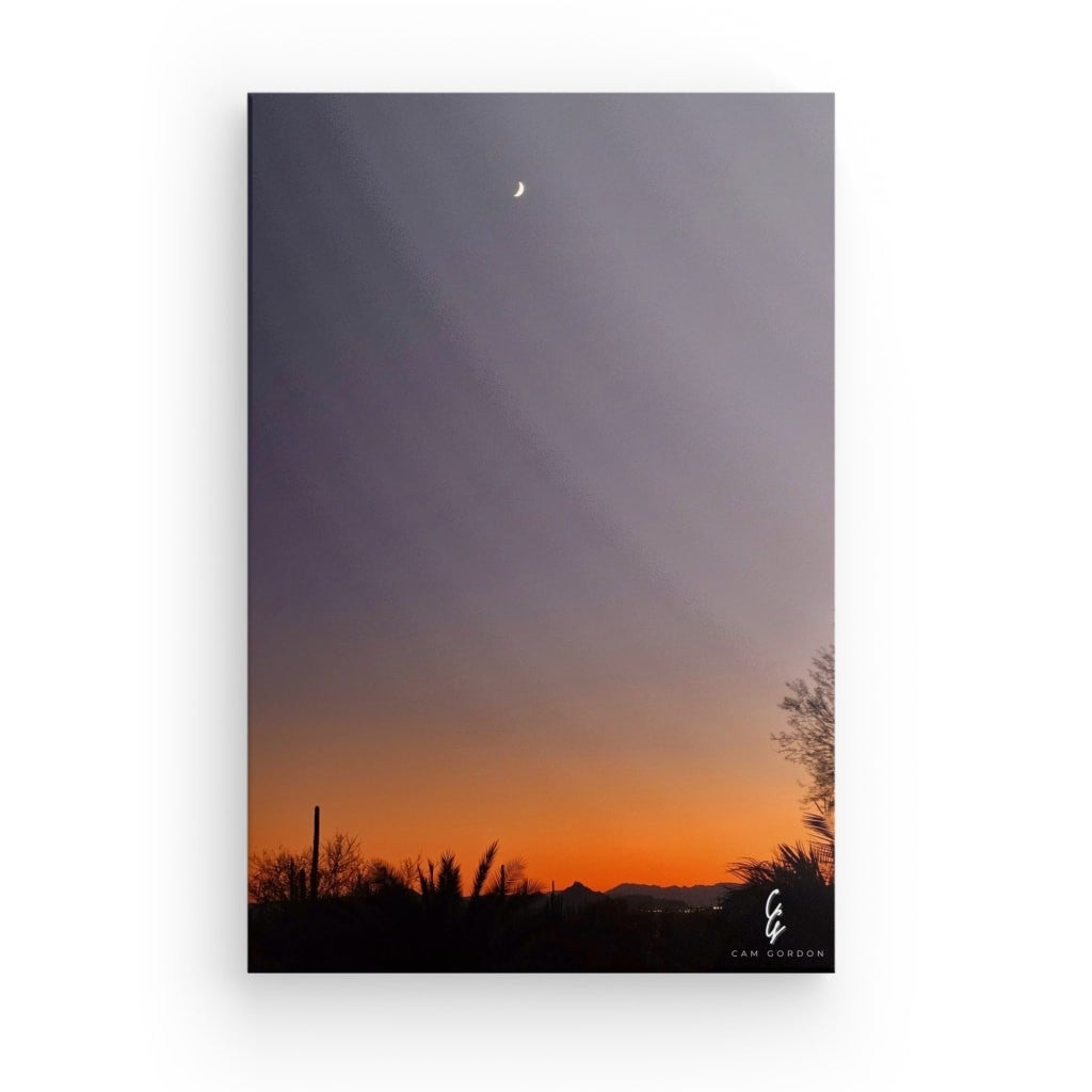 AD.24.042 Canvas