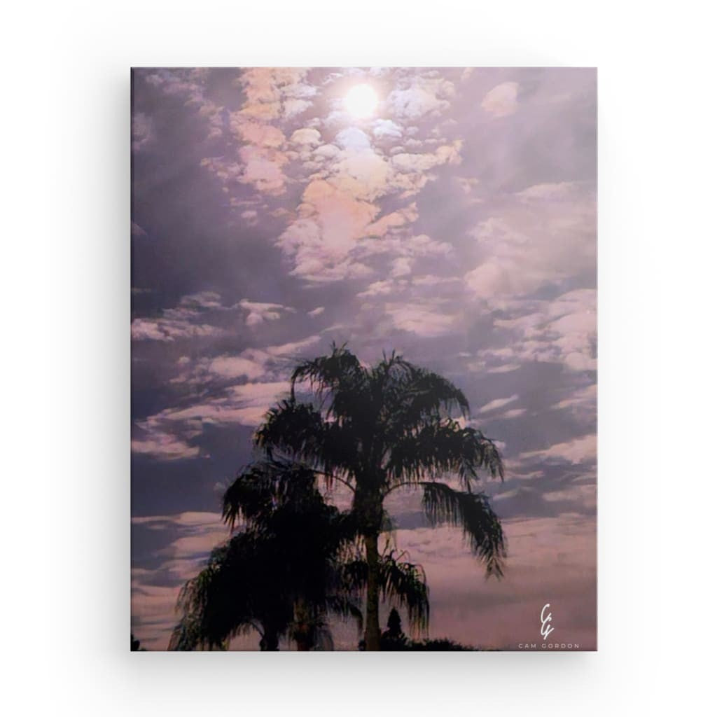 MP.24.001 Canvas
