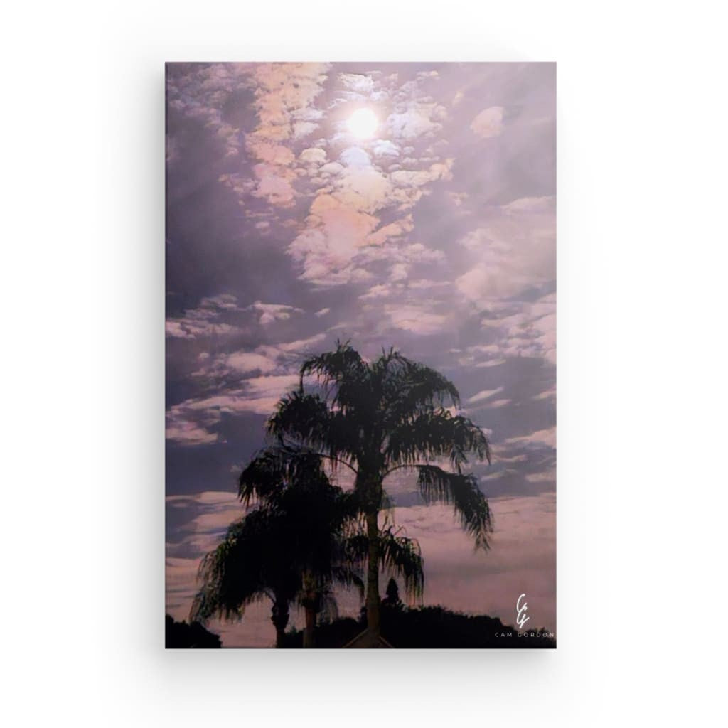 MP.24.001 Canvas