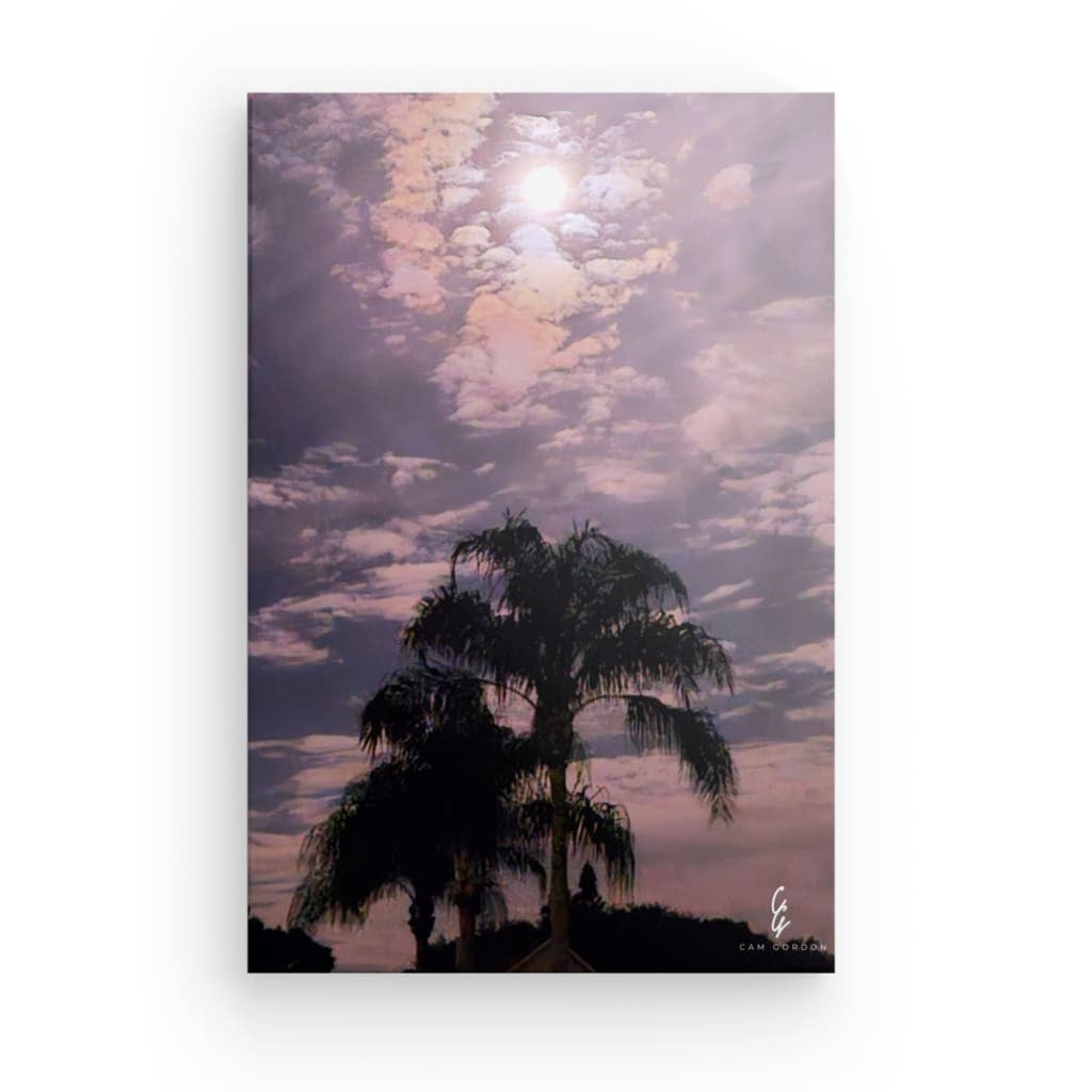 MP.24.001 Canvas