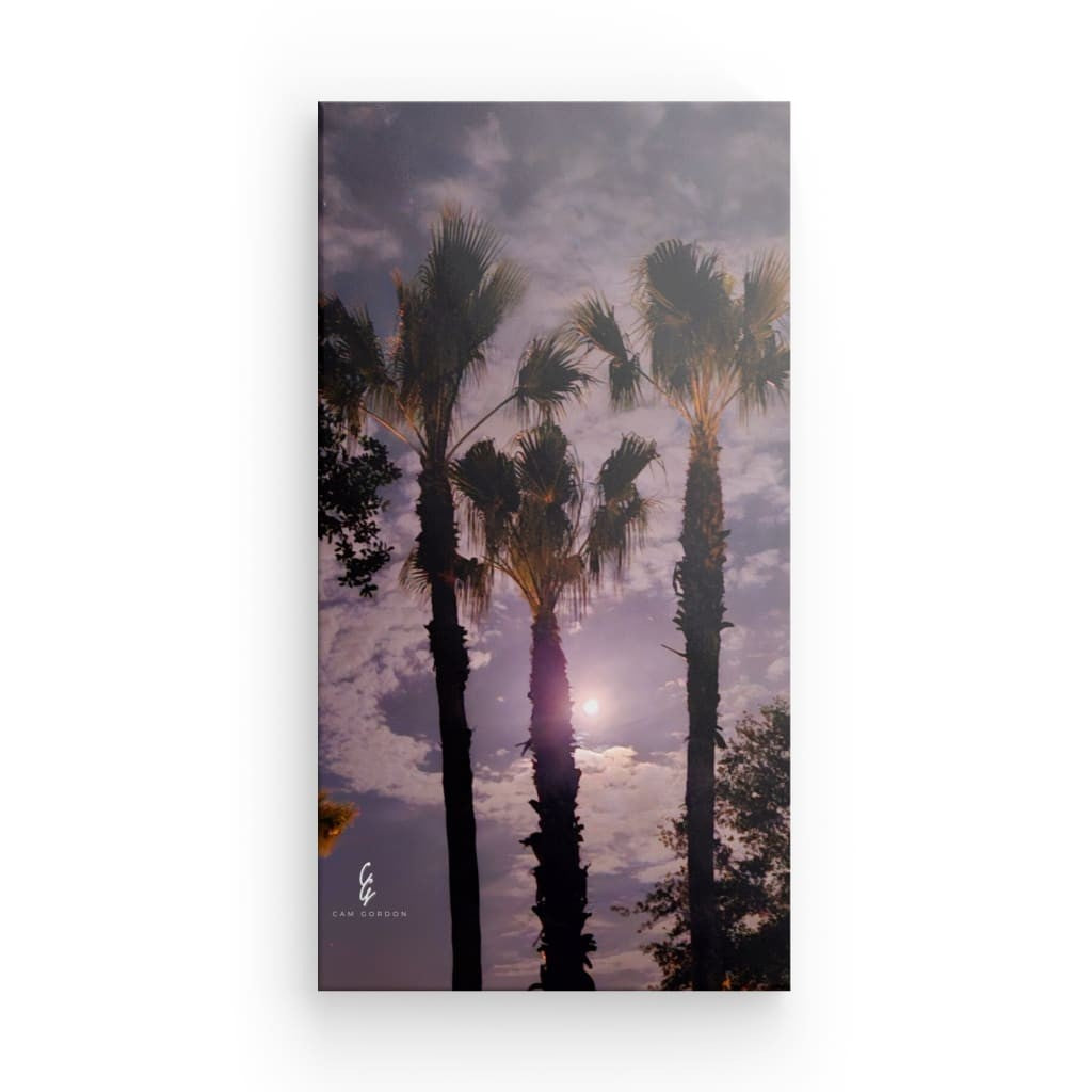 MP.24.002 Canvas