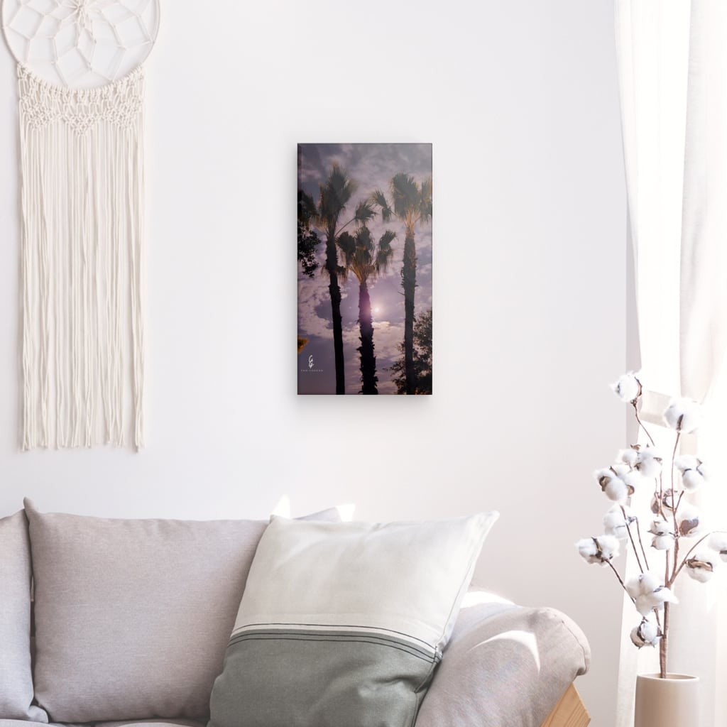 MP.24.002 Canvas