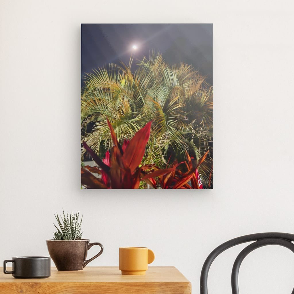 MP.24.005 Canvas