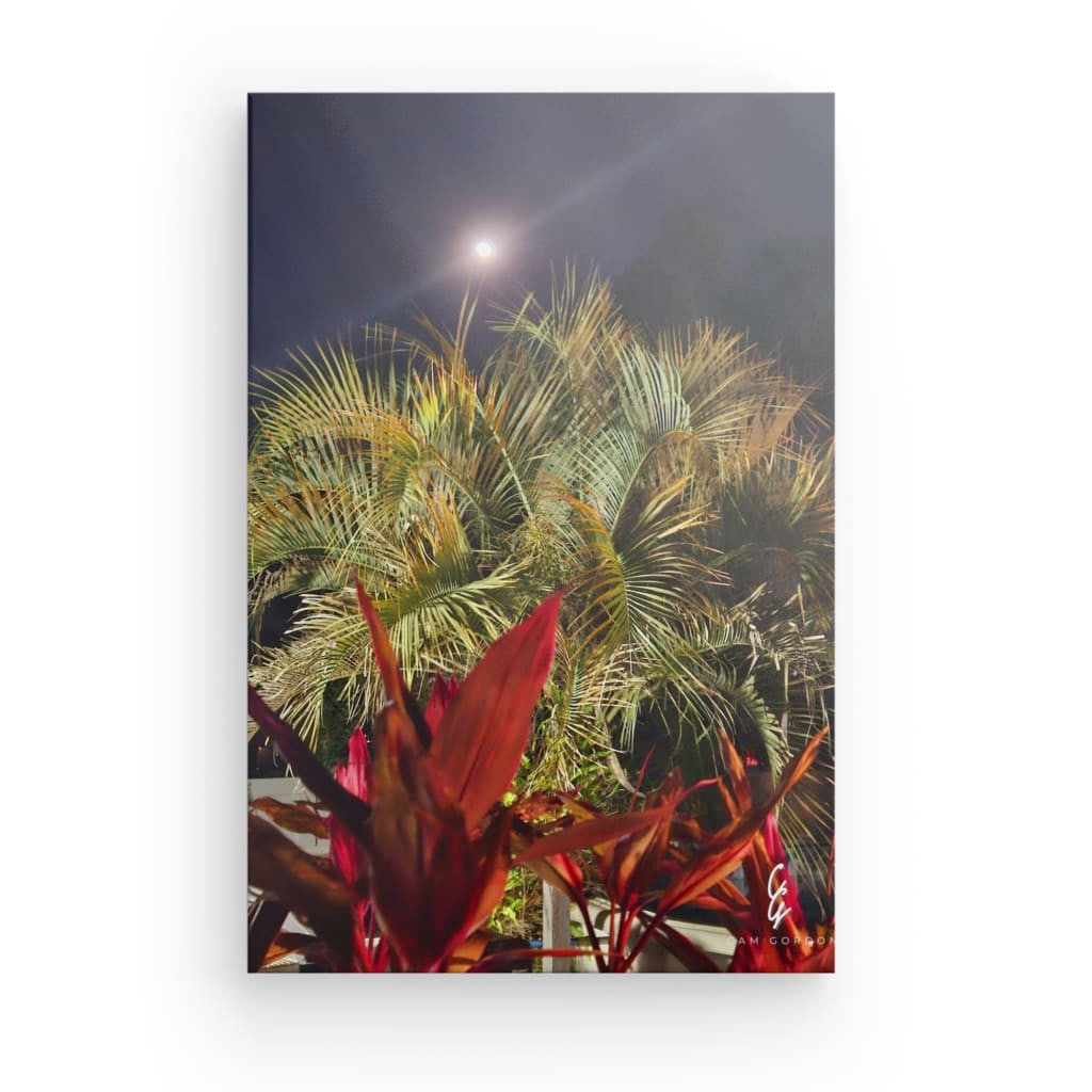 MP.24.005 Canvas