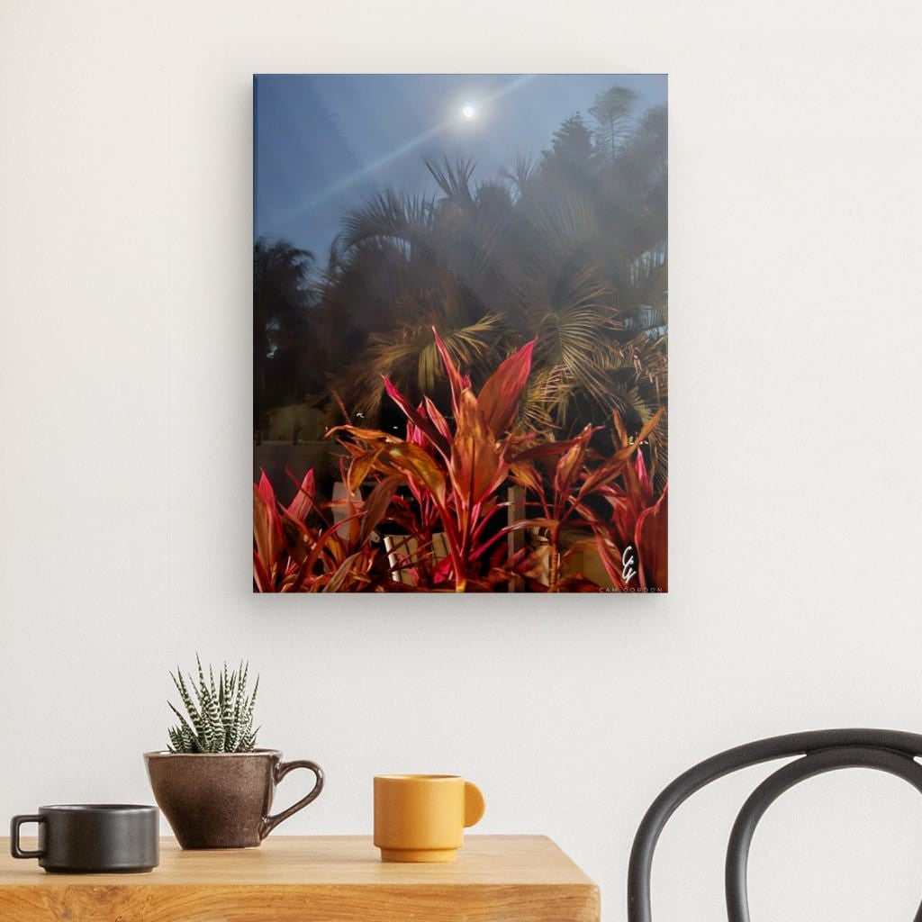 MP.24.006 Canvas
