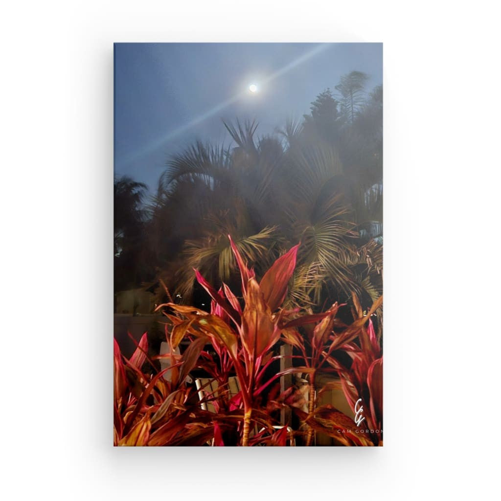 MP.24.006 Canvas