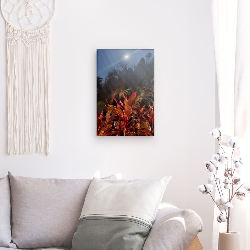 MP.24.006 Canvas