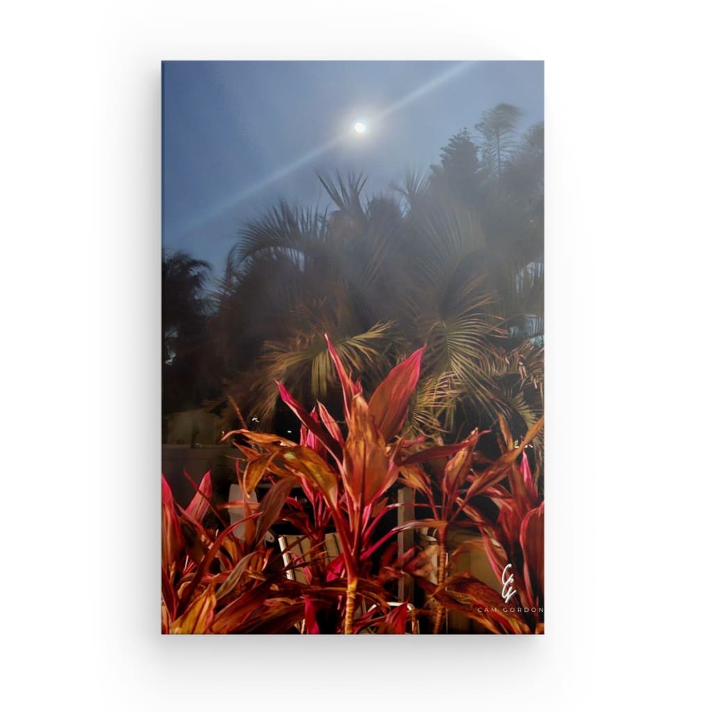 MP.24.006 Canvas