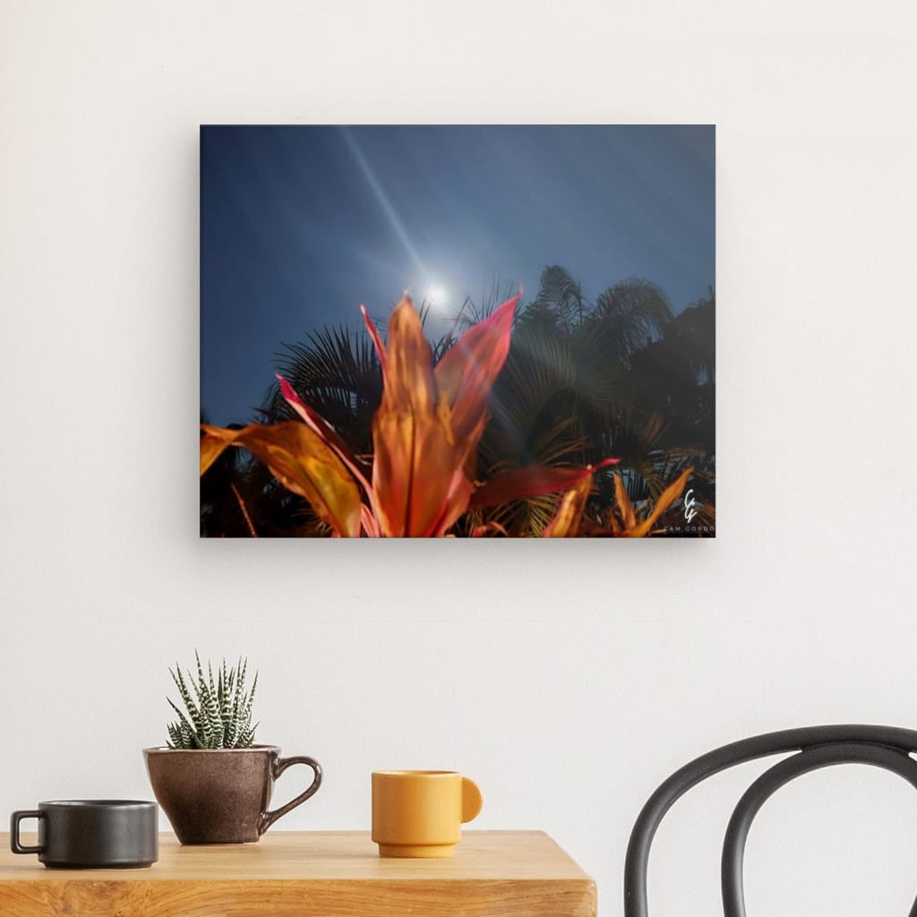 MP.24.007 Canvas